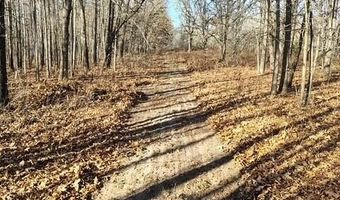 Farm Road 1245, Aurora, MO 65605