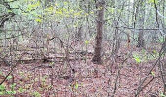 Parcel 2 Lakeshore, Applegate, MI 48401