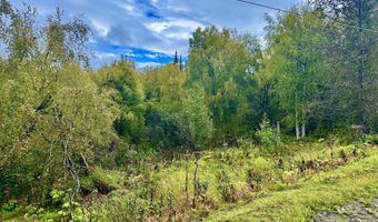 17261 N Rock Rose Ln, Chickaloon, AK 99674
