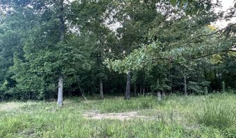 County Road 304, Alton, MO 65606