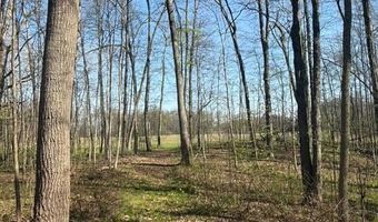 27 Mile Rd, Albion, MI 49224