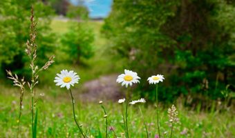0 US-412 Hwy W, Beech Bluff, TN 38313