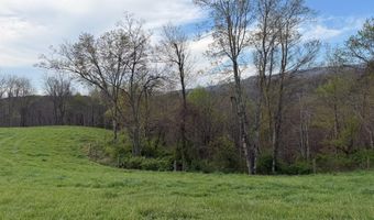 1999 Snake Run Rd, Alderson, WV 24910