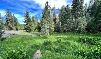 California Pines Boulevard, Alturas, CA 96101