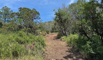 TBD-2 Vine Mesa Ave, Beulah, CO 81023