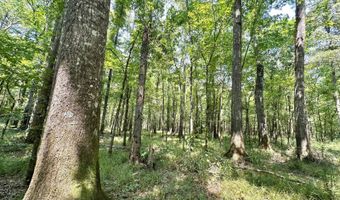 1 Champion Hill Rd, Bolton, MS 39041