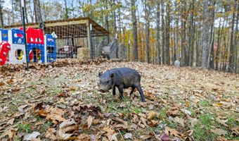 333 OAKES Dr, Ashville, AL 35953