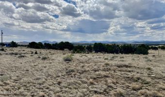 17 COUNTY ROAD N8034 185, Concho, AZ 85924