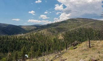 693 Cougar Dr, Bellvue, CO 80512