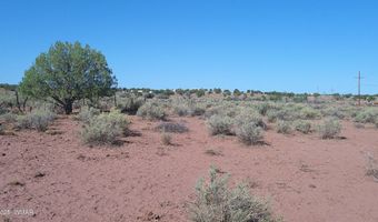 Tbd Wicked Sisters Way 38ac, Concho, AZ 85924