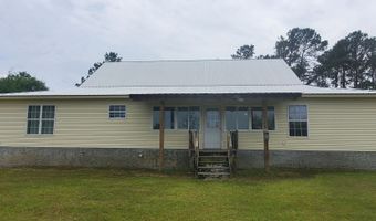 762 Old McLeod Brg, Adrian, GA 31002