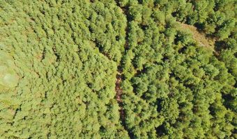 0 CR 320, Big Creek, MS 38914