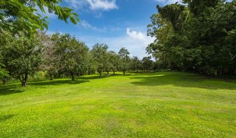 53-532 IOLE Rd, Kapaau, HI 96755