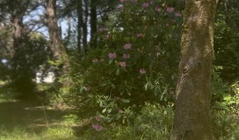 88675 WHITING Ln, Bandon, OR 97411