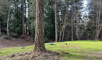 NE SCHAUER Dr, Battle Ground, WA 98604