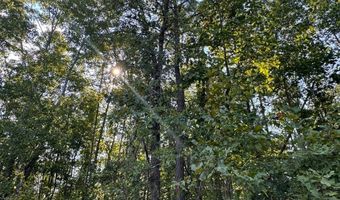 0 Military Rd, Beaverton, AL 35544