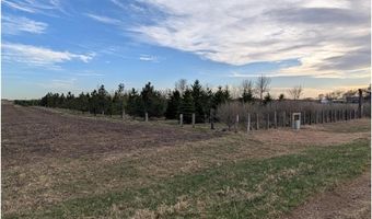 2051 120th St, Balaton, MN 56115