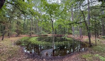 Old Moyers Road, Antlers, OK 74523
