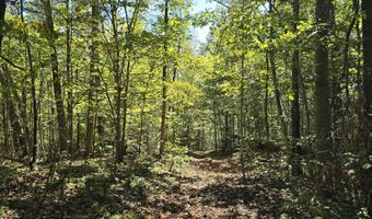 HURT HOLLOW RD, Banco, VA 22711