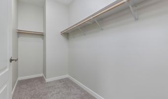 365 ALPINE HEIGHTS Rd, Alpine, CA 91901