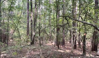 Brock Cir, Brandon, MS 39042