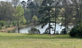 75 MARY LEE Ln, Alpine, AL 35014