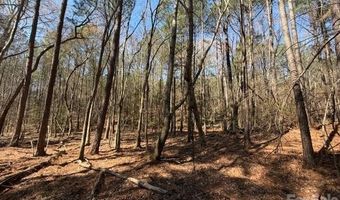 12 68 Acre 99 Rd, Blair, SC 29015