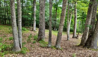 88 Cherry Ln, Arbovale, WV 24915
