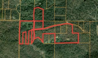 153 Private Road 204-184, Alton, MO 65606