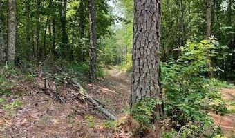 CR 1401, Booneville, MS 38829