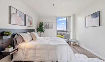 555 Pierce St 203, Albany, CA 94706