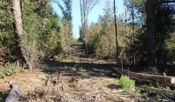 0 Lewis Ln Parcel 7071, Grand Ridge, FL 32442