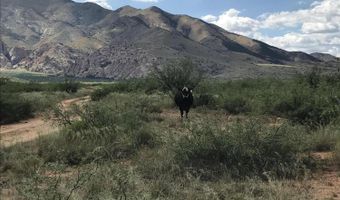 40 ACRE Near Ironwood Rd, Cochise, AZ 85606