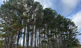 13962 State Highway 95 N, Abbeville, AL 36310