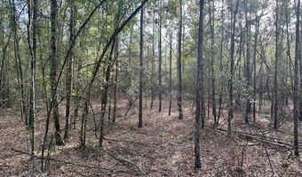 85 Th St, Bell, FL 32619