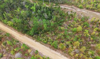Channel Drive, Alford, FL 32420