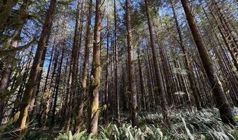 Logsden Rd, Blodgett, OR 97326