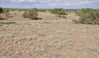 10 N9228, Concho, AZ 85924