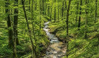 Rock House Hollow Pvt Ct, Bethpage, TN 37022