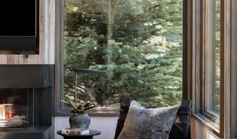 62 Bennett Ct, Aspen, CO 81611