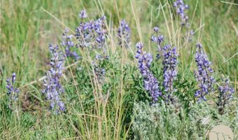 COS 947 Tract 11, Belfry, MT 59008
