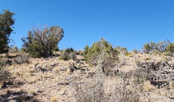 363 Big Vw, Ash Fork, AZ 86320