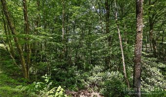 92 A Wren Way, Banner Elk, NC 28604