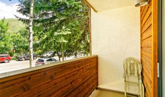 935 E Hopkins Ave 6, Aspen, CO 81611