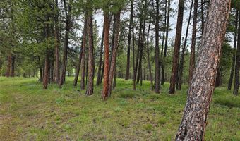 28273 Blixit Creek Rd, Bonner, MT 59823