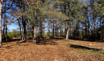County Road 25, Banks, AL 36005