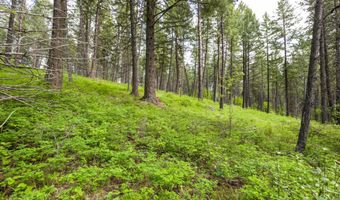 616 Ranch Rd, Bigfork, MT 59911