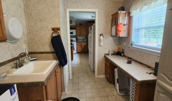 786 Blackberry Rd, Baconton, GA 31716