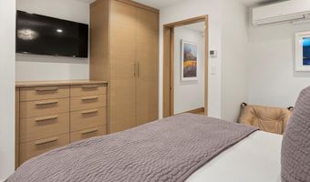 447 E Cooper Ave 1, Aspen, CO 81611