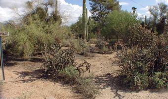 31607 N 64TH St, Cave Creek, AZ 85331